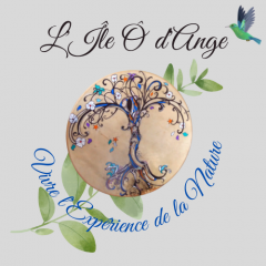 L&rsquo;Ile ô d&rsquo;Ange